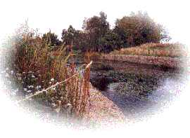 The old Barnsley Canal