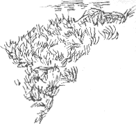 Old Moor