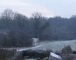 the garden, meadow and wood